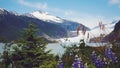 Mendenhall Glacier, Juneau, Alaska Royalty Free Stock Photo