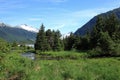 Mendenhall Glacier & Lake Royalty Free Stock Photo