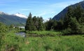 Mendenhall Glacier & Lake Royalty Free Stock Photo