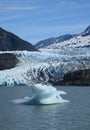 Mendenhall Glacier & Lake Royalty Free Stock Photo