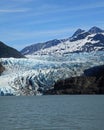 Mendenhall Glacier & Lake Royalty Free Stock Photo