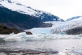 Mendenhall Glacier and small icebergs near Juneau, Alaska