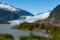 Mendenhall Glacier during summer