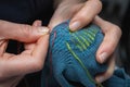 Mending clothes. Visible mending repairing sock