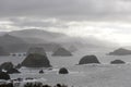 Mendocino Coast, California Royalty Free Stock Photo