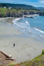 Mendocino Headlands Beach Spring Afternoon