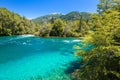 Menendez river, Los Alerces National park in Patagonia, Argentina Royalty Free Stock Photo