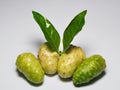 Mengkudu or noni fruits isolated on white background Royalty Free Stock Photo