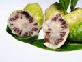 Mengkudu or noni fruits isolated on white background Royalty Free Stock Photo