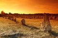 Menhir alignment in carnac in brittany