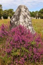 Menhir in the Alignment of Kerlescan, megalithic monuments in Carnac Royalty Free Stock Photo