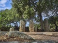 Menhir Alignment of Stantari, ancient stone pilars on Corsica Royalty Free Stock Photo