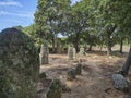 Menhir Alignment of Stantari on the island of Corsica, France Royalty Free Stock Photo