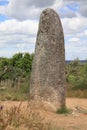 Menhir of Almendres in Evora District. Alentejo. Portugal