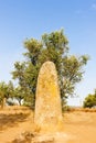 menhir in Almendres near Evora, Alentejo, Portugal