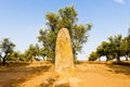 Menhir in Almendres, Portugal Royalty Free Stock Photo