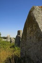 Menhir in Carnac-Brittany Royalty Free Stock Photo