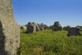 Menhir in Carnac-Brittany