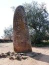 Menhir des Almendres near Evora Alentejo region