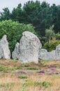 Menhir fields in Carnac in the morbihan in brittany, France Royalty Free Stock Photo