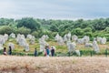 Menhir fields in Carnac in the morbihan in brittany, France Royalty Free Stock Photo