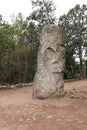 Menhir Geant du Manio - Giant of Manio  - the largest menhir in Carnac Royalty Free Stock Photo