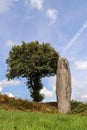 Menhir of Kergornec - megalithic monument in Brittany, France
