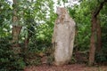 Menhir La Bonne Femme - in English The Good Woman - in Veades near Trebeurden