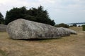 Menhir near Locmariaquer, Brittany, France