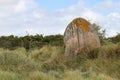 Menhir of Run ar Gam near Trebeurden in Bretagne