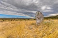 Menhir standing stone monolith  in France Royalty Free Stock Photo