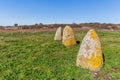 Menhir in Sardinia, Italy