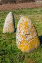 Menhir in Sardinia, Italy