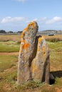 Menhir of Toeno - megalithic monument - lonely menhir on the coast at Trebeurden in Brittany