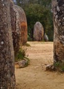 Menhirs - Alentejo, Portugal