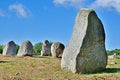 Menhirs alignment. Carnac, Brittany. France Royalty Free Stock Photo