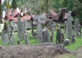 Menhirs at Bori Parinding Tana Toraja Royalty Free Stock Photo