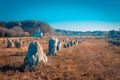 Menhirs of Carnac in brittany by a winter morning light Royalty Free Stock Photo