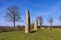 Menhirs d Epoigny in France