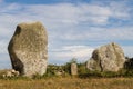 Menhirs and dolmen of the Vieux-Moulin - Old Mill