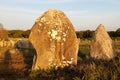 Alignements de Carnac - Menhirs in Carnac