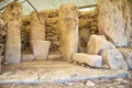 The menhirs of the temple of Hagar Qim, Malta