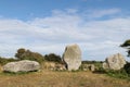 Menhirs of the Vieux-Moulin - Old Mill - near Plouharnel in Brittany