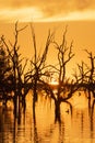 Menindee lakes in the far west of New South Wales