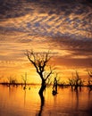 Menindee lakes, New South Wales.