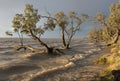 Menindee lakes NSW.