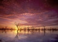 Menindee Lakes