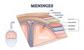 Meninges as central brain part structure or under skin layers outline diagram Royalty Free Stock Photo