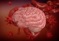 Meningitis is an inflammation of the meninges, which are the membranes that surround the brain Royalty Free Stock Photo