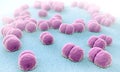 Meningitis pathogens called menigococcus Royalty Free Stock Photo